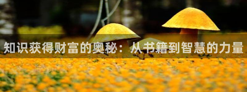 1935新延安息壤中文网：知识获得财富的奥秘：从书籍到智慧的力量